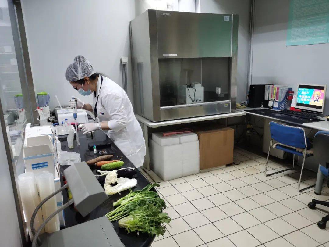 枣阳食品检测实验室装修方案
